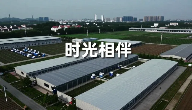 如何选择适合自己的健康咨询服务